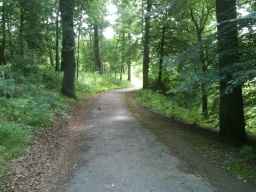 Image on trail